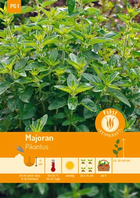Majoran Pikantus 172190 Gewürzkräuter  - Bild 1 von 2