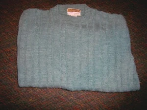 JANTZEN (THE COUNTRY SQUIRE) Green Crewneck (USA) Sweater - SIZE LARGE  - Picture 1 of 3