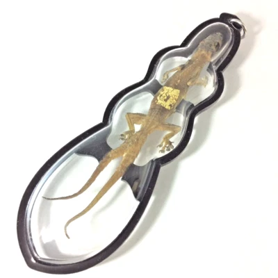 Amuleto tailandês 2Caudas Jingjok Lagartixa Sorte Riqueza Sucesso Charme Poder Raro - Imagem 1 de 4