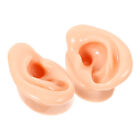 2 Pcs Ear Model Anatomy Earrings Display Supplies