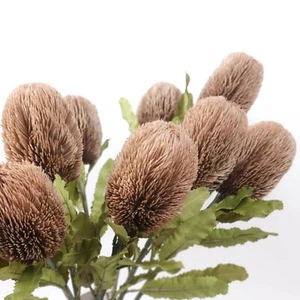 Dried-look Banksia Stem in Brown Australian Native Artificial Silk Flowers Decor - Picture 1 of 10