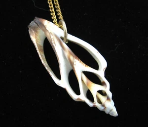 SLICE of a SEASHELL Sea Shell PENDANT Vintage Necklace Ocean Goldtone 24" Chain - Picture 1 of 10