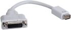 Adaptateur câble Tripp Lite Mini DVI vers DVI, convertisseur vidéo pour Macbook et