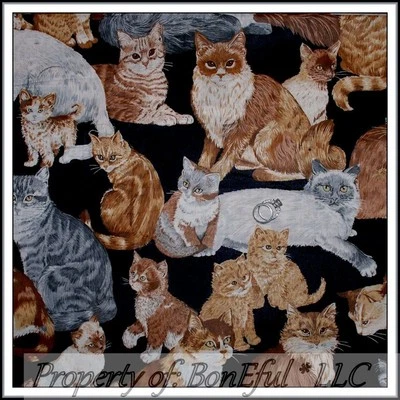BonEful Fabric FQ Cotton Quilt Black Orange Tabby Tiger White Kitty Cat Breed US - Image 1 of 4
