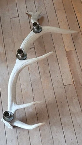 Over 2 Feet Long! Vintage Real Elk Antler Horn 3 Candle Holder votive candelabra - Picture 1 of 18