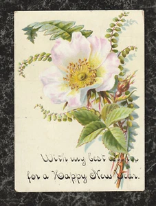 Tarjeta de Año Nuevo Victoriano Años 1880 Rosa Salvaje y Helecho 4,25 x 3 pulgadas - Imagen 1 de 2