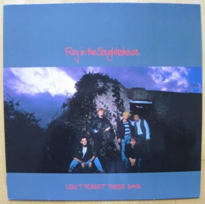 FURY IN THE SLAUGHTERHOUSE – Won't Forget These Days 12" 1990 - VERY GOOD PLUS ! - Bild 1 von 4
