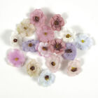 Artificial Silk Flower Head Mini Jasmine Fake Primrose For Diy Crafts Dress Deco