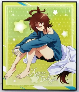 Uma Musume Película Nueva Era Puerta Agnes Taquión Relax Tiempo Placa de Arte Namco - Imagen 1 de 1