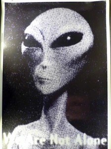 We Are Not Alone - Filmposter 89x63cm gerollt - Foto 1 di 1