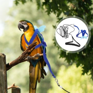 Corde Volante Sangle Fournitures Dressage D'oiseaux Harnais Conure - Photo 1/12