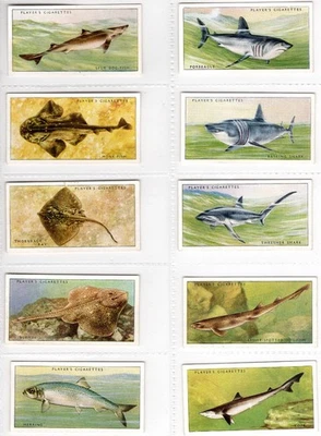 Sea Fishes Full Set of 50 Cigarette Cards Issued by Players in 1935 - Image 1 of 4