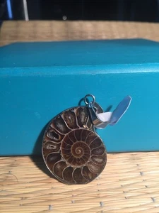 Sterling Silver Shell Pendant - Picture 1 of 4