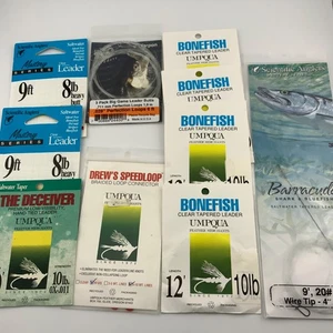 Lote Líderes de Agua Salada Río Umpqua Pescadores Científicos Sábalo Pez Hueso Stock Antiguo - Imagen 1 de 4