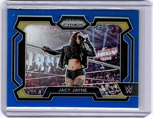 Jacy Jayne 2024 Panini Prizm WWE Blue Prizm #100 WWE NXT #102/199 - Picture 1 of 2