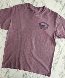 Camiseta Colonial Williamsburg Virginia Governor Palace Talla Grande Pradera Mtn - Imagen 1 de 5