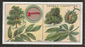 OGDENS-BOY SCOUTS 1913 (4TH SERIES)-#190- QUALITY CARD!! - Picture 1 of 2