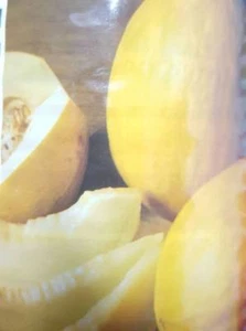 MELON AMARILLO ORO canario 500 Semillas Seeds - Imagen 1 de 1