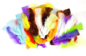 Plumas de Pavo Multicolor 12/18CM 25g 10 Piezas - Imagen 1 de 2