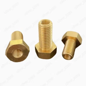 Brass Hexagon Head Bolts SHollow Thread Conversion M8/M10/M12/M14 - Picture 1 of 5