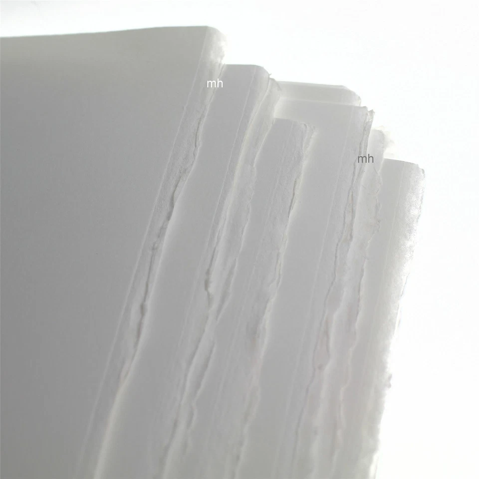 Botanical Ultra Smooth Watercolour Paper 300gsm Hot Pressed, 50% Cotton 2 4 6 12