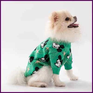 Suéter de vacaciones para perro de Mickey Mouse otoño invierno conjunto para perro - Imagen 1 de 26