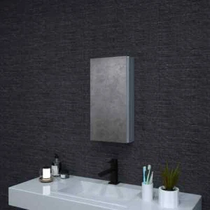 Niveal 12x24 in. Silver Aluminum Medicine Cabinet Recessed/Surface Mount, Mirror - Picture 1 of 14