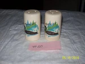 Decorative DUCK SCENE FROM MYSTIC CT Salt and Pepper Shaker Set - Picture 1 of 3