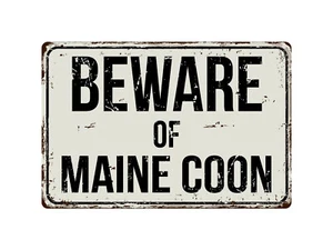377VS Beware Of Maine Coon 8 "x 12" Vintage Aluminum Retro Metal Sign - Picture 1 of 2