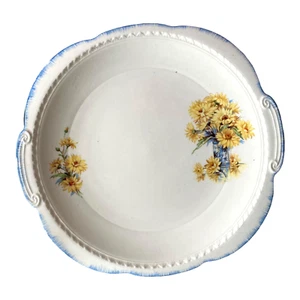 Swinnertons Staffordshire Majestic Vellum Blue Trim Cake Plate 24.5cm Diameter - Bild 1 von 6