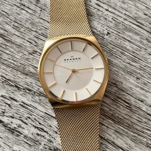 Skagen Men’s Havene Watch Metallic White Dial Gold-Tone Mesh SKW6069 Preloved - Picture 1 of 6