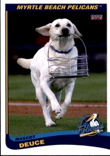 2012 Myrtle Beach Pelicans Choice #32 Deuce Mascot - NM Baseball Card