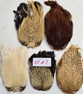 Lot of 5 Indian Cape " assorted colors " Kit#1 grade A Fly Tying Feathers - Picture 1 of 7