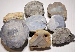 Chert Flint Nodules Large 3" Minerals Sedimentary Rocks - Picture 1 of 14