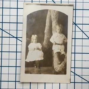 RPPC Vintage AZO Real Photo Postcard of Two Children on Tree Branches - Picture 1 of 3