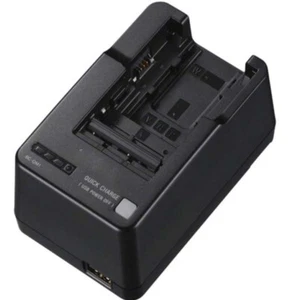 Cargador de batería BC-QM1 BCQM1 para Sony NP-FV100 NP-FW50 NP-FV70 NP-FM500H NP-FH50 - Imagen 1 de 1