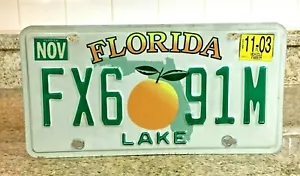 Targa targa auto Florida # FX6 91M Lake County SCADUTA 3 anni - Foto 1 di 5