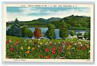 1957 Dahlia Garden Of Mr. J. B. Ivey Lake Junaluska North Carolina NC Pocztówka