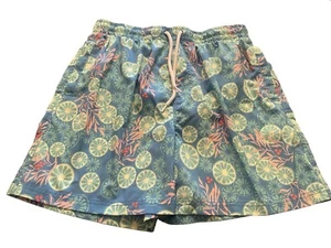 Swim Stuff Southern Proper Swimming Shorts Multi Color Blue Size Large Lined - Picture 1 of 10