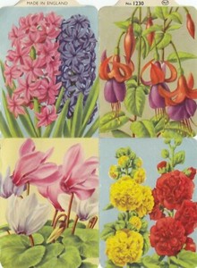 Allen's 1950's peter pan flowers & plants 4 collector card issued as part of tin