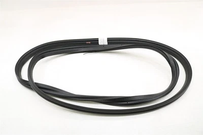 NUEVO OEM Ford puerta levadiza escotilla sello resistente al clima CV6Z-5843720-A Focus escotilla 2012-18 Foto 1 de 4