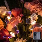 20 lumières papillon à DEL lumières fées violet alimenté par batterie