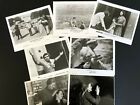 LOT 10 Press Photos Little Man Tate/My Father's Glory/Birds of Prey/Face to Face