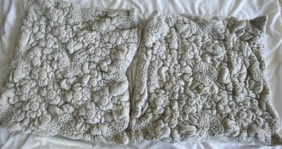 Jersey Anthropologie Dahlia 2 Euro Shams Gris Claro Algodón Elástico *Sin Almohada Foto 1 de 4