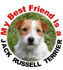 2 Jack Russell Terrier runde Autoaufkleber von Starprint - Auto Kombiporto
