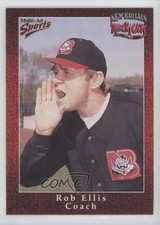 1998 Multi-Ad Sports New Britain Rock Cats Rob Ellis #3