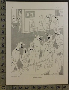 1929 BELVIDERE HOUND SPORT DOG KENNEL CLUB BAR HUNT CARLISLE CARTOON ART 30231 - Picture 1 of 1