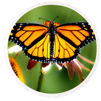 Оранжевый монарх бабочка цветок большой подвеска подвеска немецкое серебро 20» ожерелье - Изображение 1 из 4