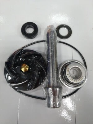 Water Pump Repair Kit Piaggio 400/500 Beverly MP3 Aprilia Scarabeo AA00824 - Image 1 of 4