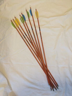 Easton Scout 2 箭 - 批量 8 支 - 二手 - 青少年玻璃纤维 — 第 1/3 张图片